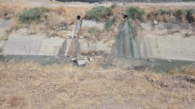 Çevreyi kirleten işletme hakkında yasal işlem başlatıldı