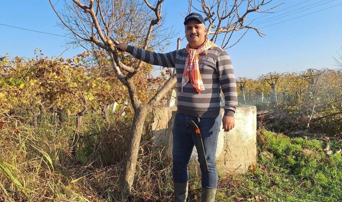 Manisa’nın Sarıgöl ilçesi ve