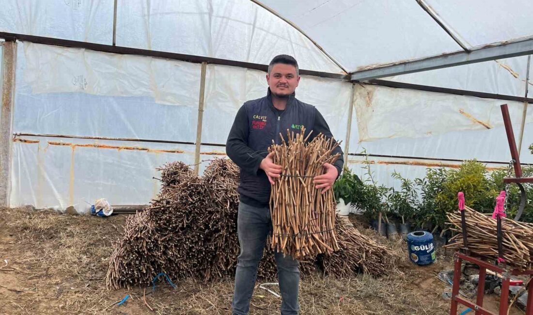 Manisa’nın Sarıgöl ilçesinde genç