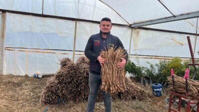 Manisa’nın Sarıgöl ilçesinde genç girişimci