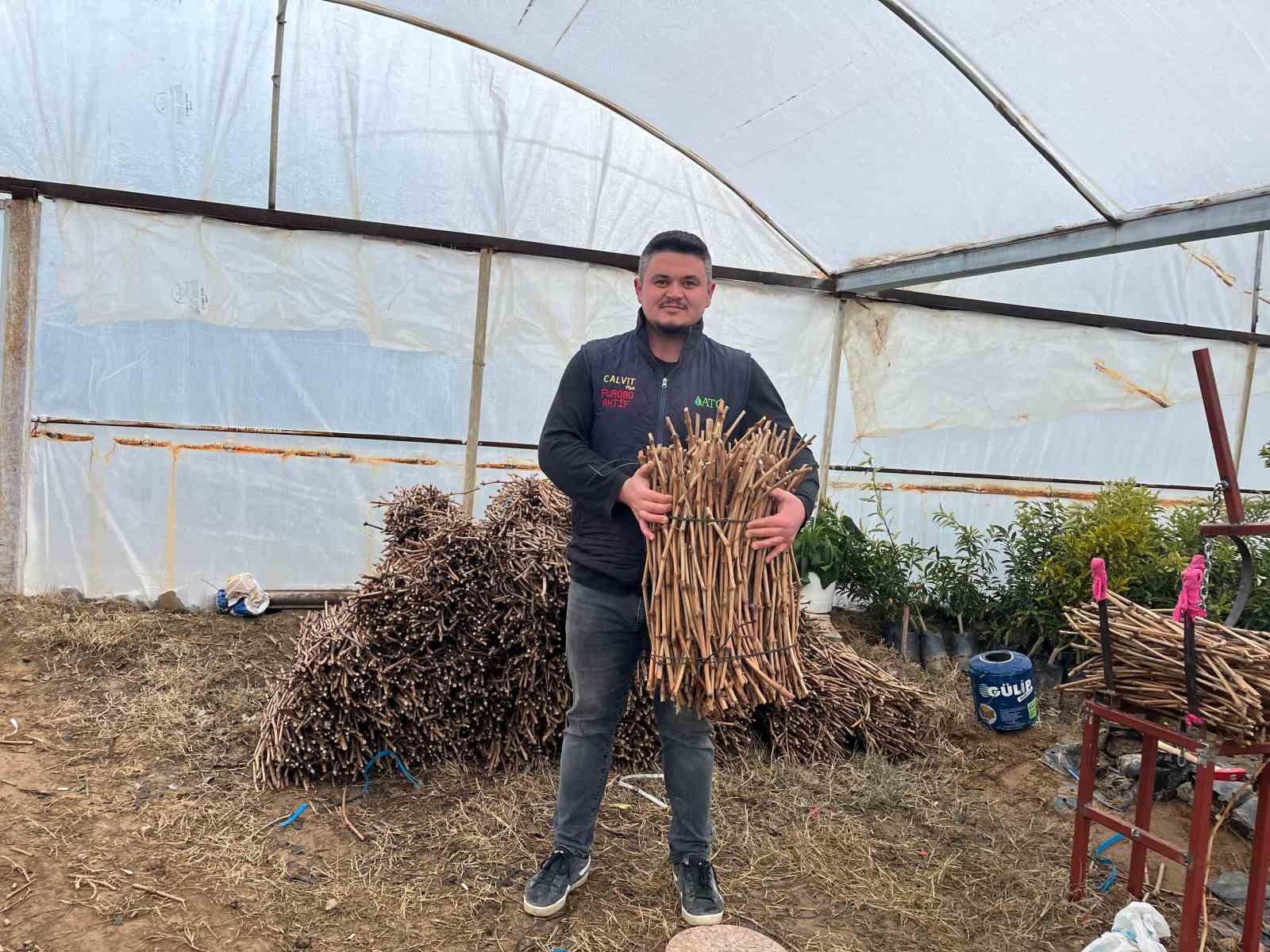 Genç kardeşlerden Sarıgöl ekonomisine 700 bin fidan hamlesi