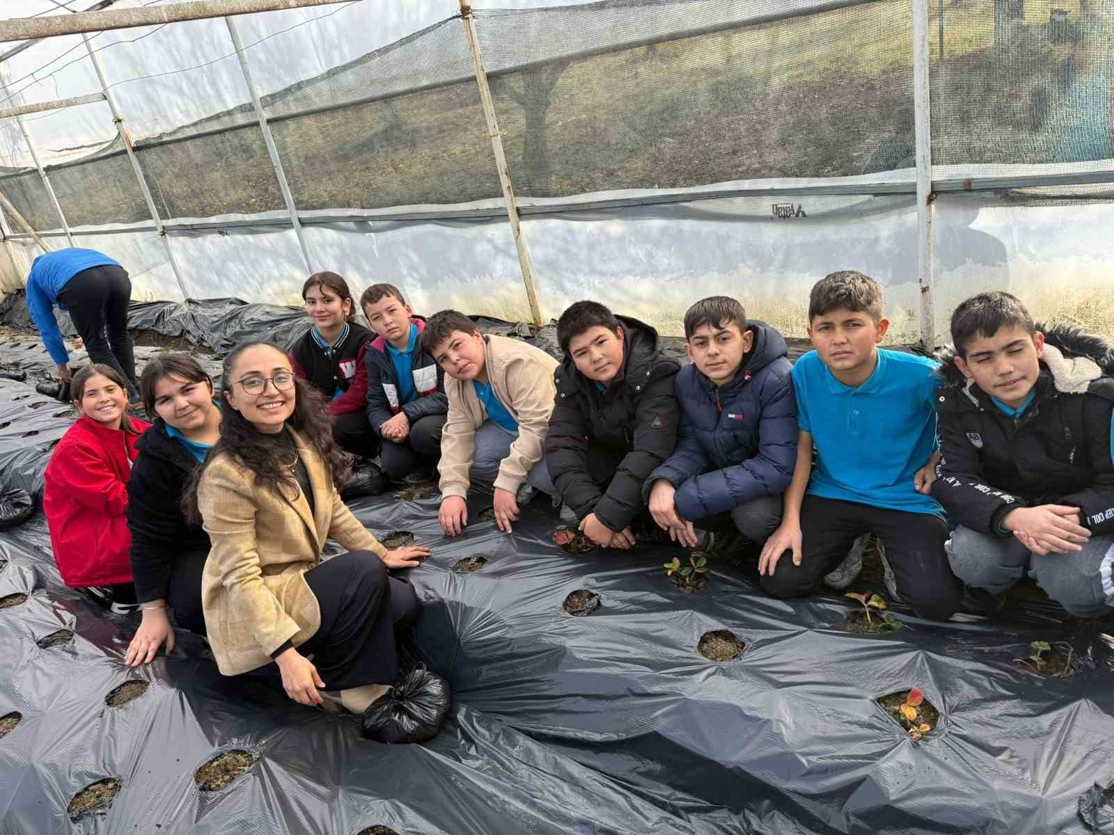 Gördes’te çilekler engelliler için yetişecek