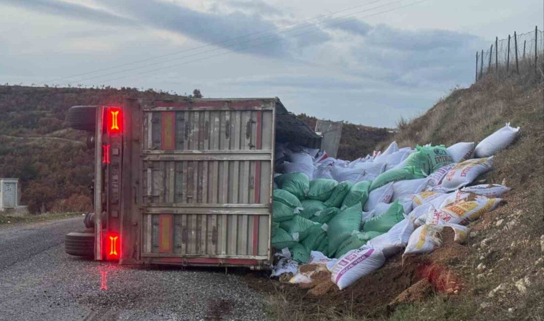 Manisa’nın Gördes ilçesinde yem