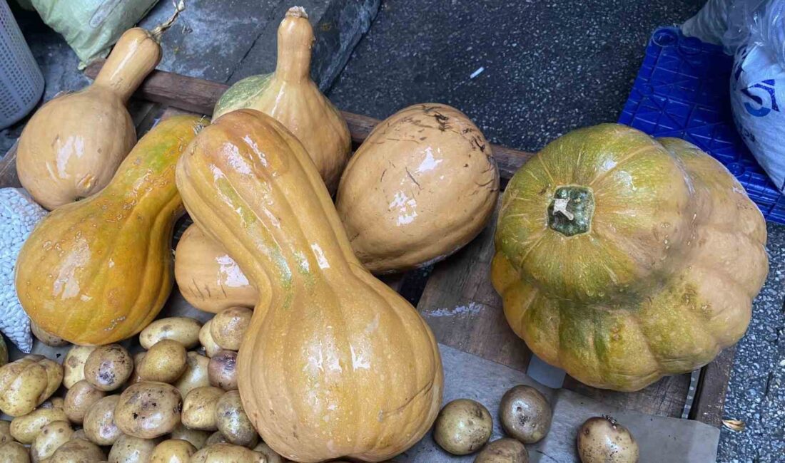 Manisa’nın Alaşehir ilçesinde kurulan