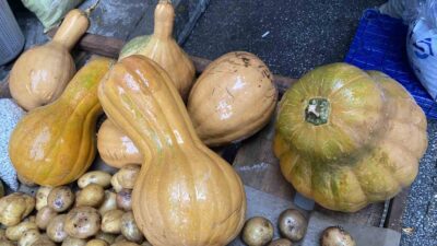 Manisa’nın Alaşehir ilçesinde kurulan semt