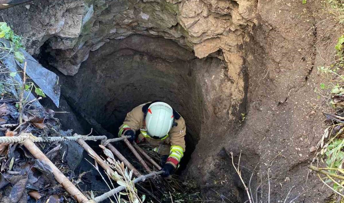 Manisa’nın Kırkağaç ilçesinde yaklaşık