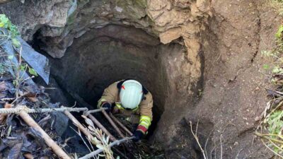 Manisa’nın Kırkağaç ilçesinde yaklaşık 5