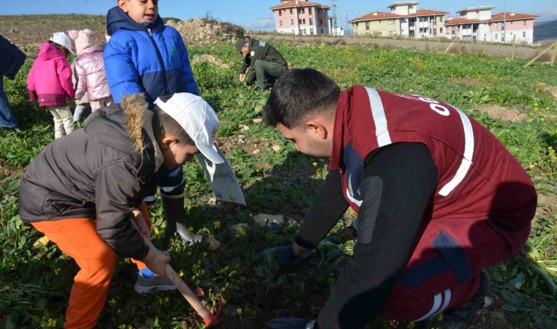 Manisa’da yanan ormanlık alanların