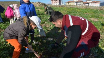 Manisa’da yanan ormanlık alanların ağaçlandırılması
