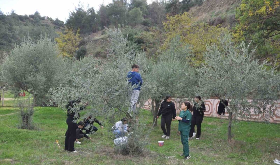 Manisa’nın Salihli ilçesinde Ticaret
