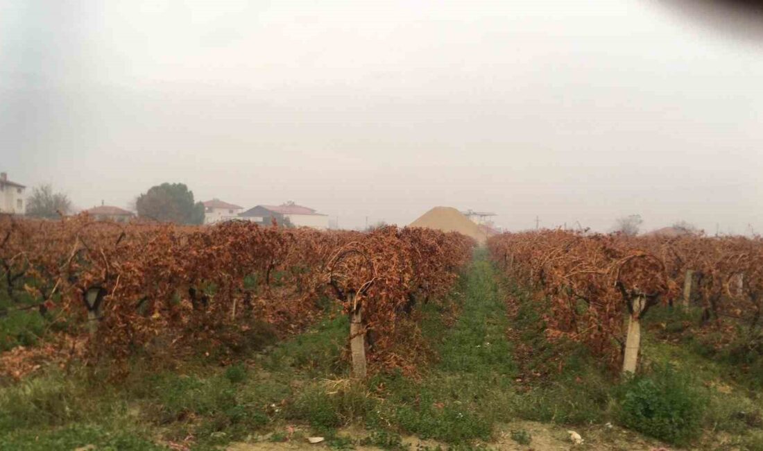 Manisa’nın Sarıgöl ilçesi ve