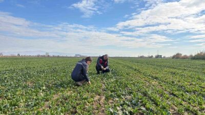 Manisa’nın Salihli ilçesindeki Tarım ve