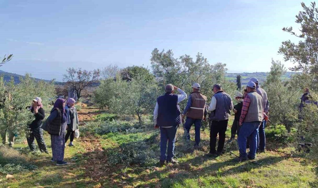 Manisa’nın Salihli ilçesinde çiftçilerin
