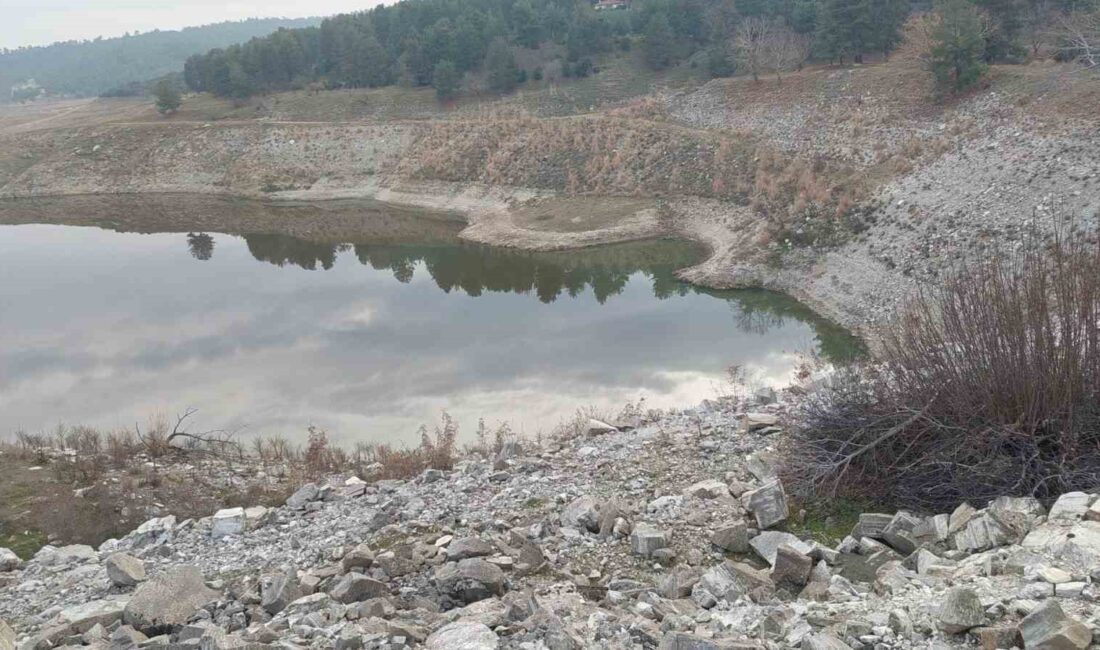 Manisa’nın Sarıgöl ilçesinde tarımsal