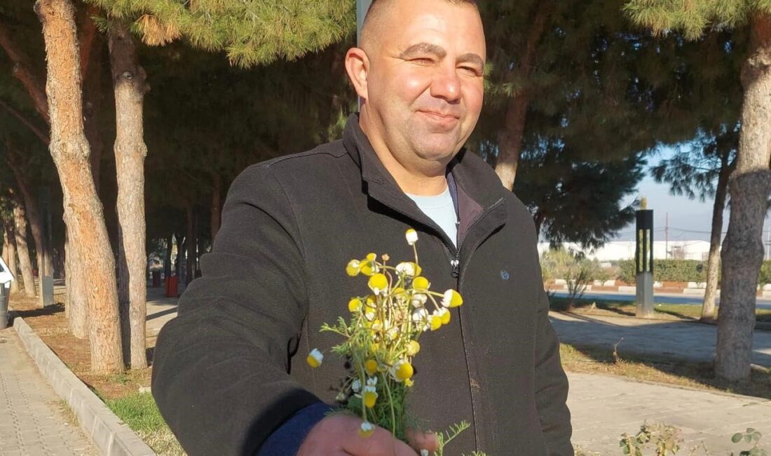 Manisa’nın Sarıgöl ilçesinde, hava sıcaklıklarının