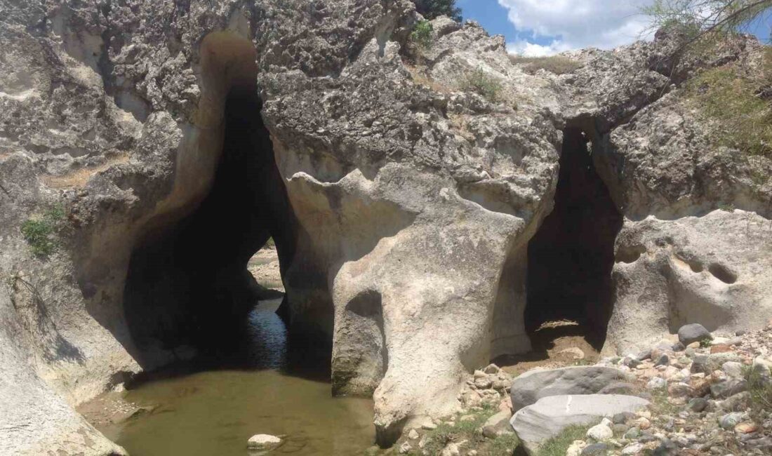 MANİSA (İHA) – Manisa’nın