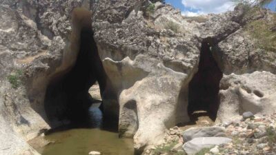 MANİSA (İHA) – Manisa’nın Selendi