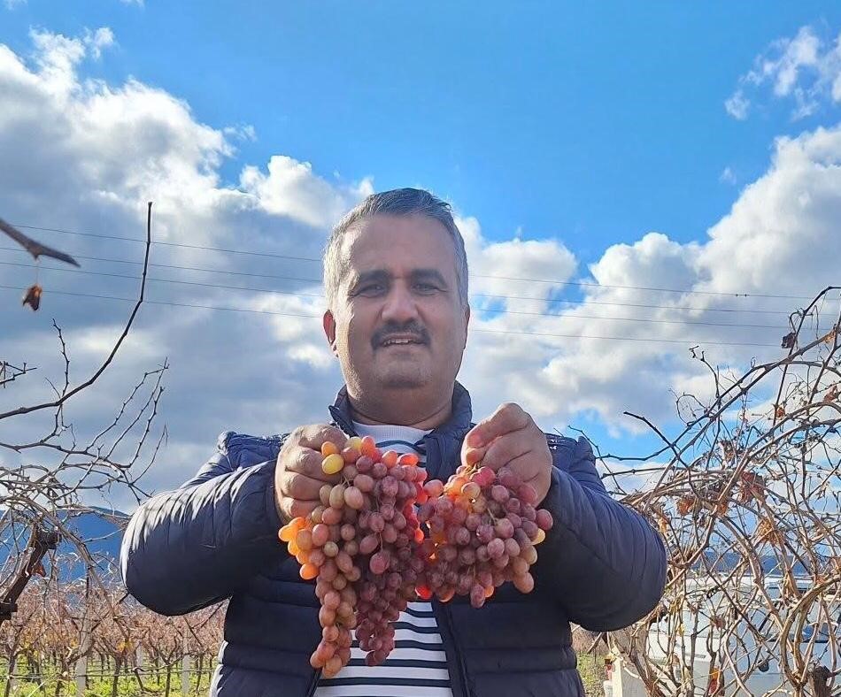 Soğuğa dayanıklı kazancı yüksek