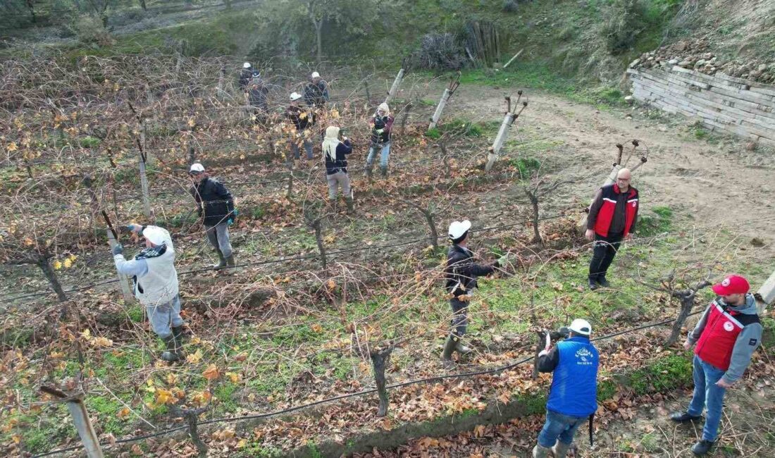 Manisa İl ve İlçe