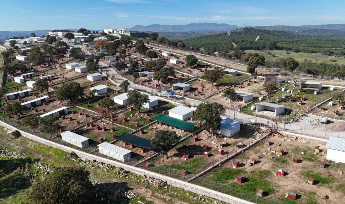 Manisa’nın Yunusemre ilçesinde hizmet