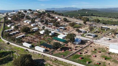 Yunusemre’de sokak hayvanlarına örnek yaşam merkezi