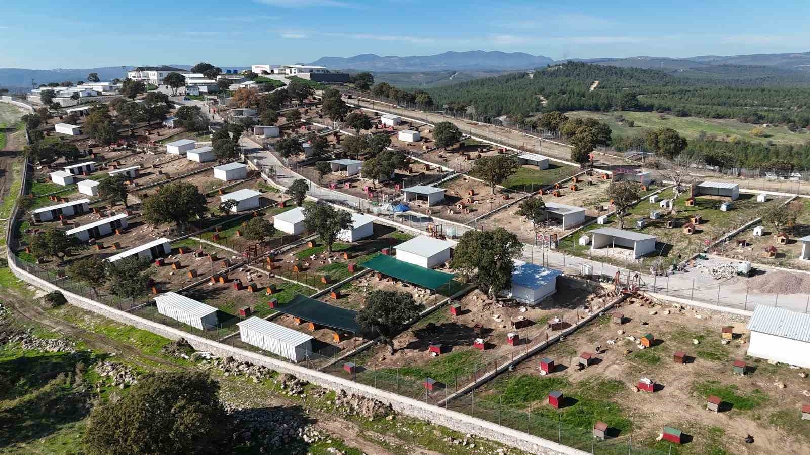 Yunusemre’de sokak hayvanlarına örnek yaşam merkezi