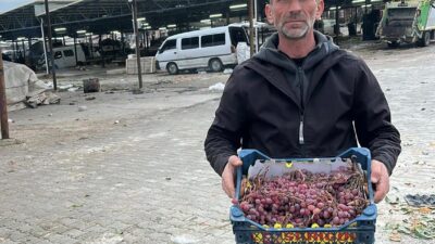 Sarıgöl’de üzüm üreticisi Musa Topdemir,