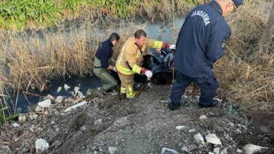 Manisa’nın Şehzadeler ilçesinde kendisinden haber