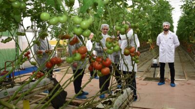 Manisa’nın Salihli ilçe Kaymakamı Ali