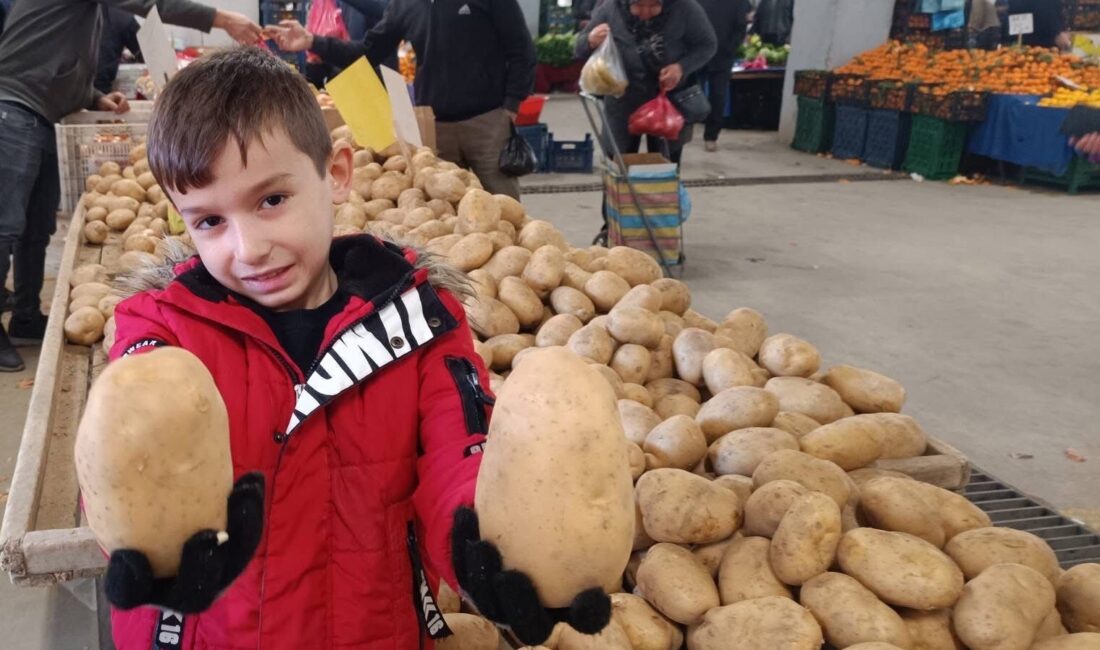 Manisa’nın Sarıgöl ilçesinde her