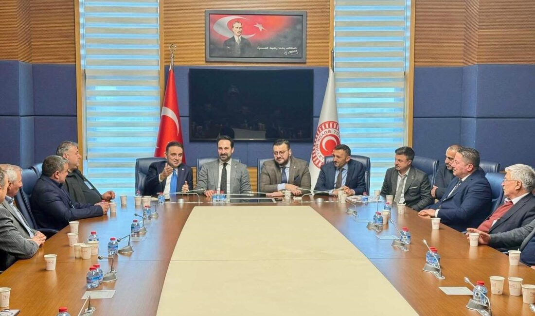 AK Parti Sarıgöl İlçe