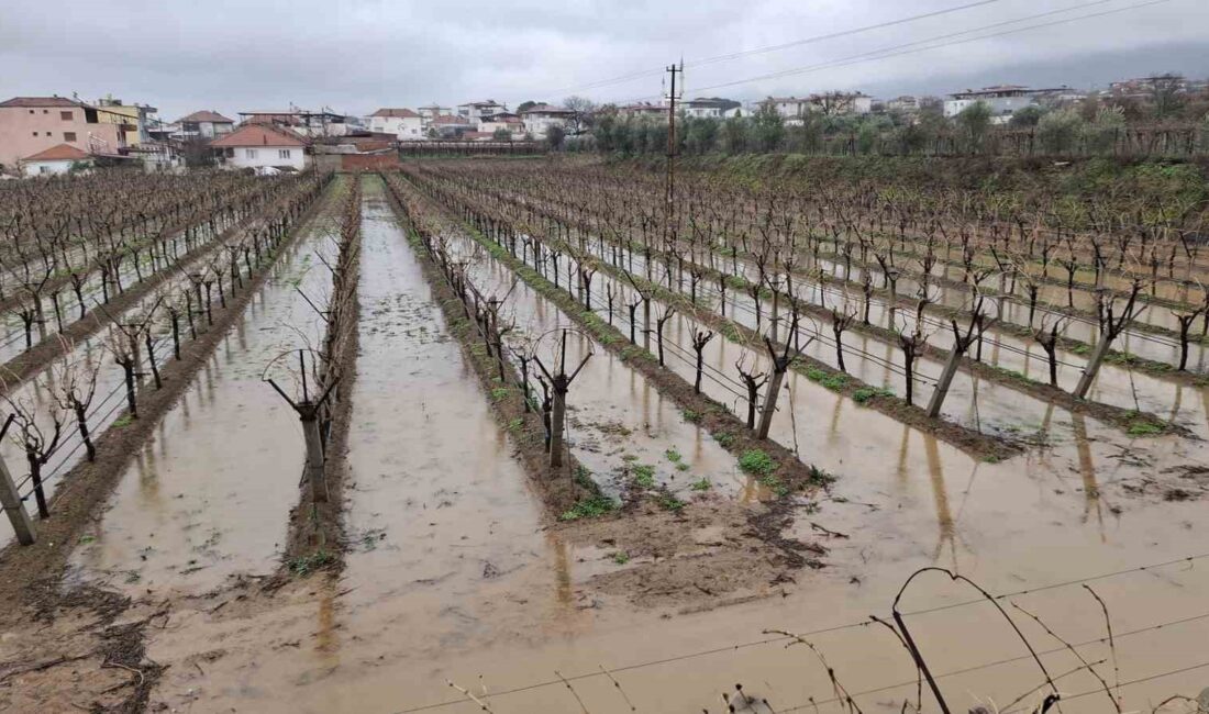 Manisa’nın Sarıgöl ilçesinde aralıksız