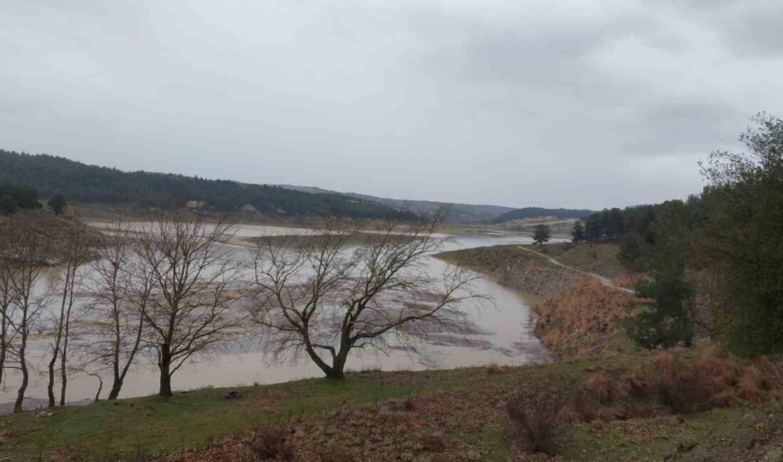 Son yağışlarla birlikte Manisa’nın