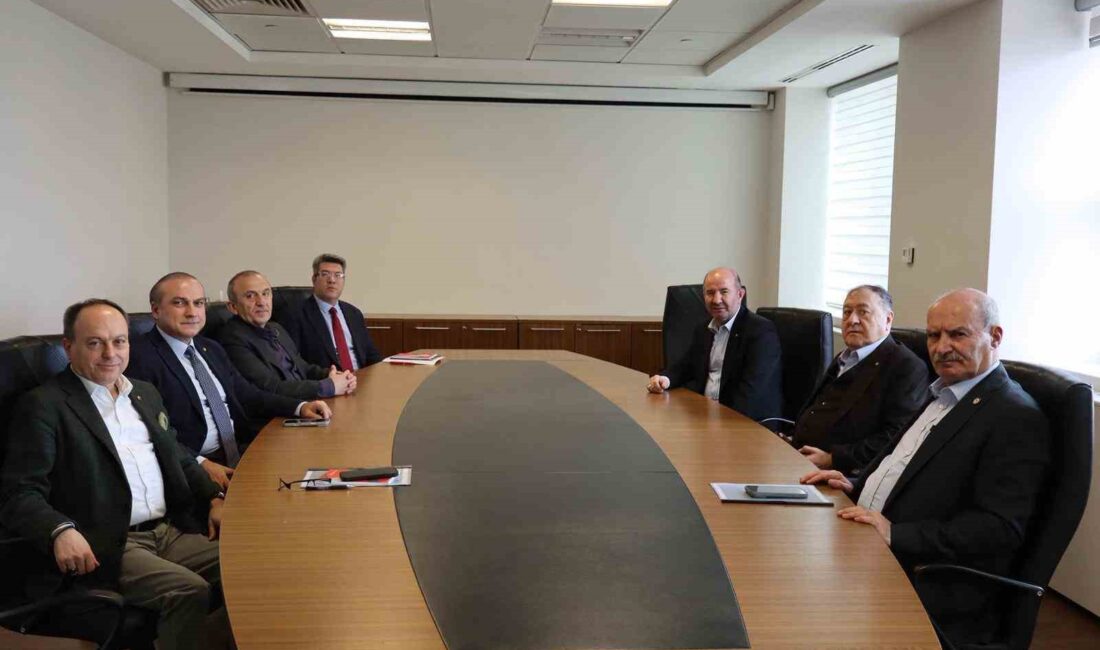 Gümrük ve Turizm İşletmeleri Ticaret