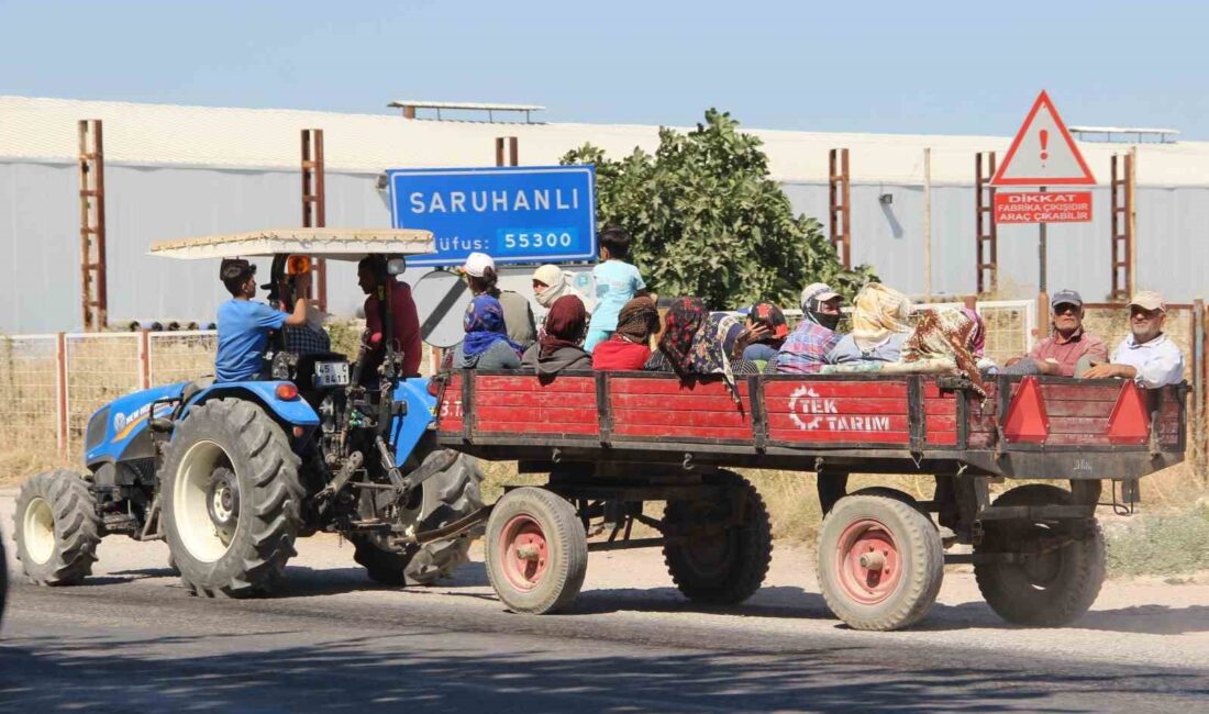 Türkiye İstatistik Kurumu (TÜİK)