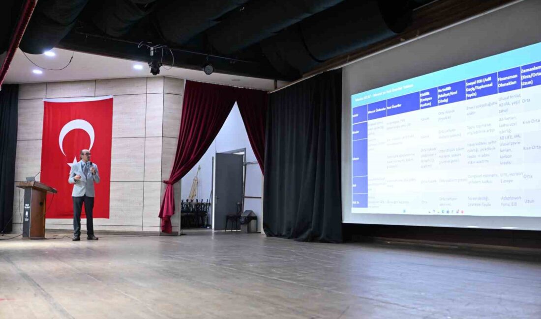 Manisa Büyükşehir Belediyesi, kentin