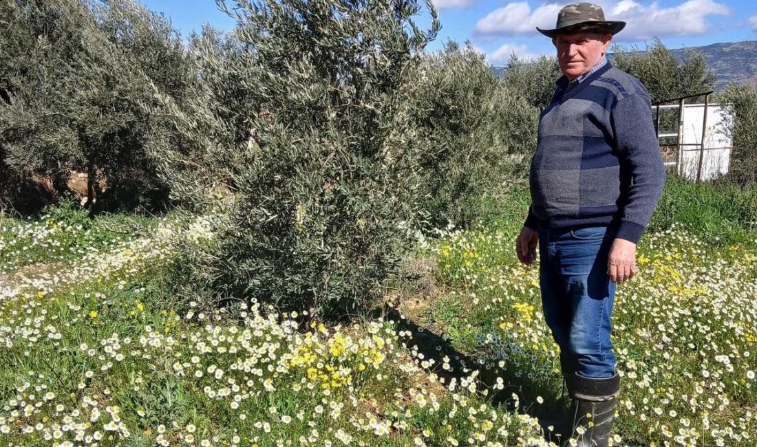 Manisa’nın Sarıgöl ilçesinde şubat