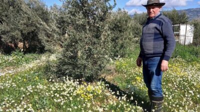 Manisa’nın Sarıgöl ilçesinde şubat ayında
