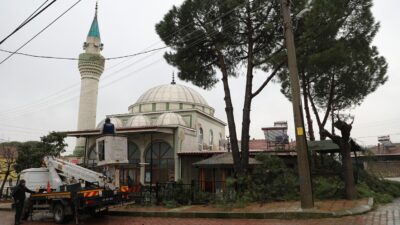 Şehzadeler Belediyesi’nin budama çalışmaları sonrası