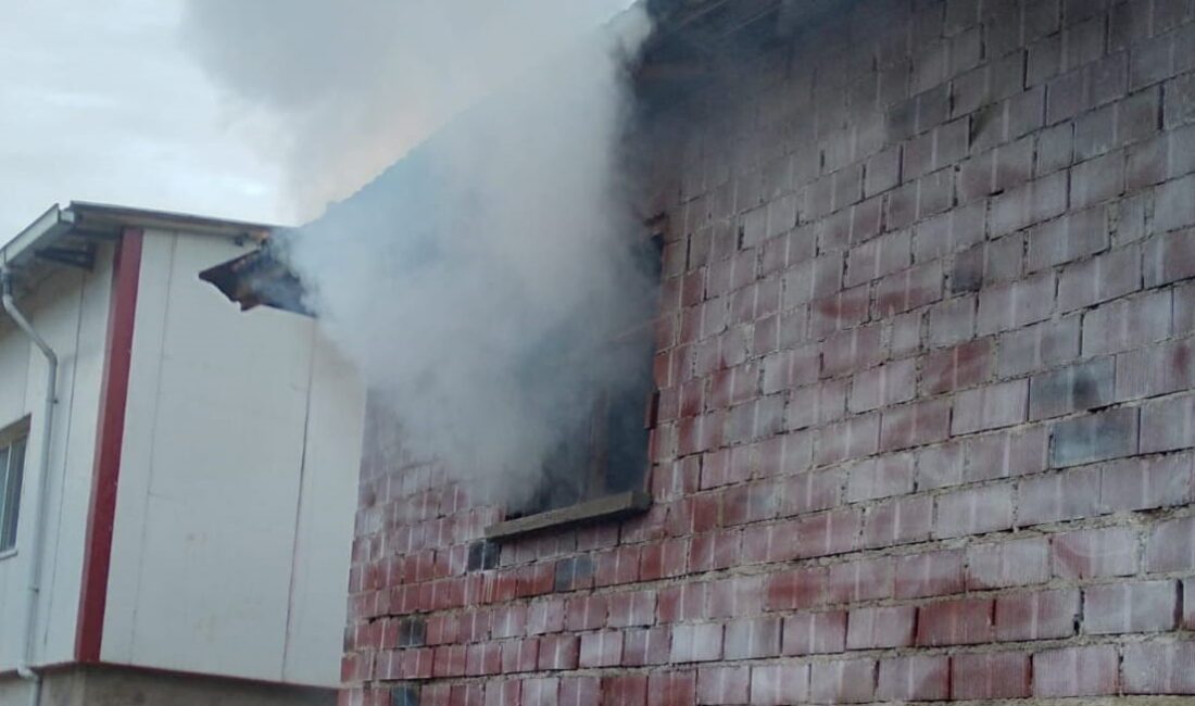 Manisa’nın Selendi ilçesinde çıkan