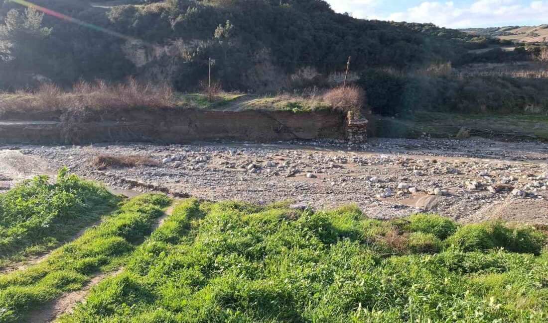 Manisa’nın Sarıgöl ilçesine bağlı Ziyanlar