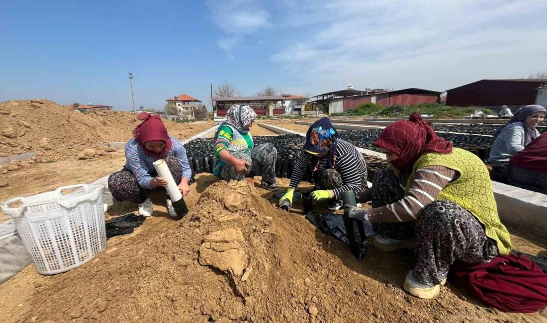 Manisa’nın Sarıgöl ilçesinde iki