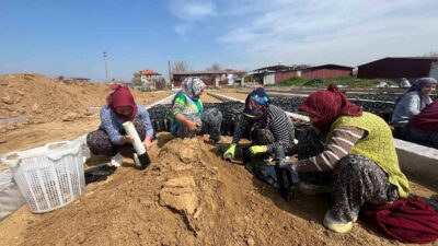 Manisa’nın Sarıgöl ilçesinde iki girişimci