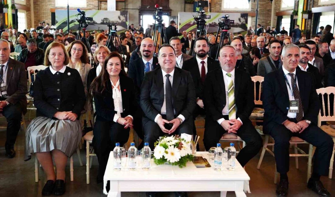 Manisa Büyükşehir Belediyesi, enerji