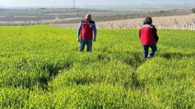 Manisa’nın Salihli ilçesindeki Tarım ve