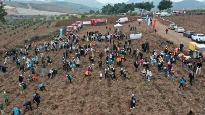 Manisa’nın Akhisar ve Gördes ilçelerinde