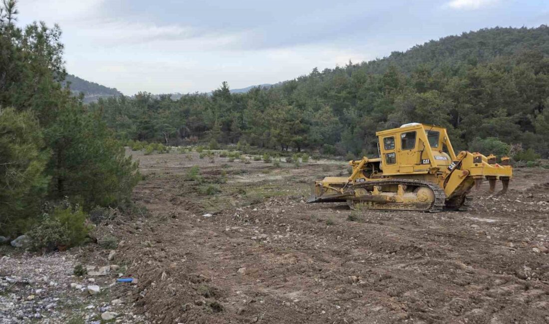 Manisa’nın Yunusemre ilçesine bağlı Yuntdağı