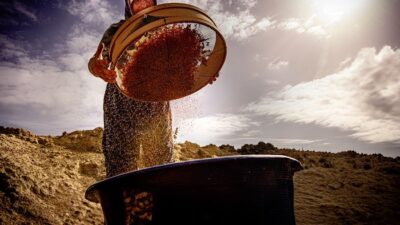 Salihli Fotoğraf Derneği (SALFOD) kadın