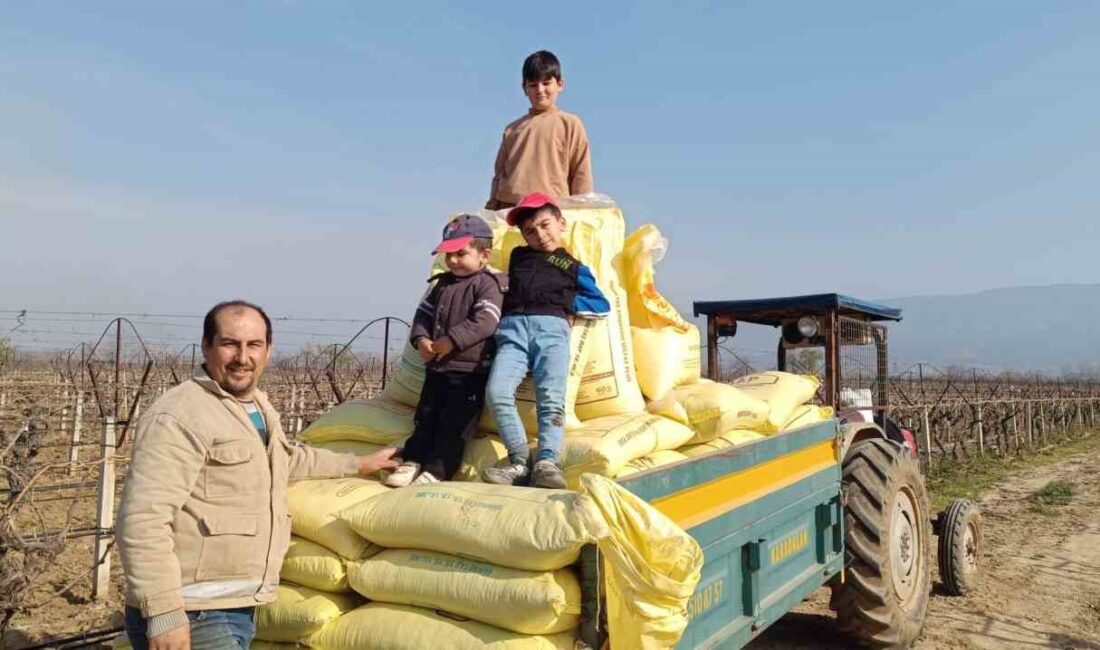 Dünyaca ünlü Sarıgöl üzüm bağlarında