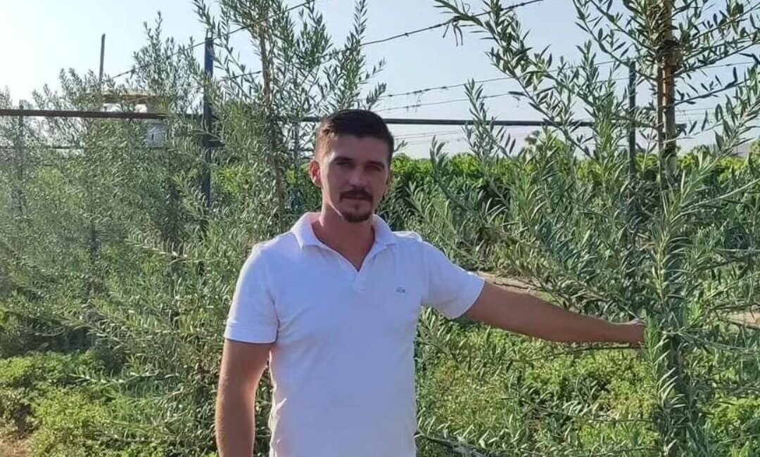 Manisa’nın Sarıgöl ilçesinde, yüksek verimi